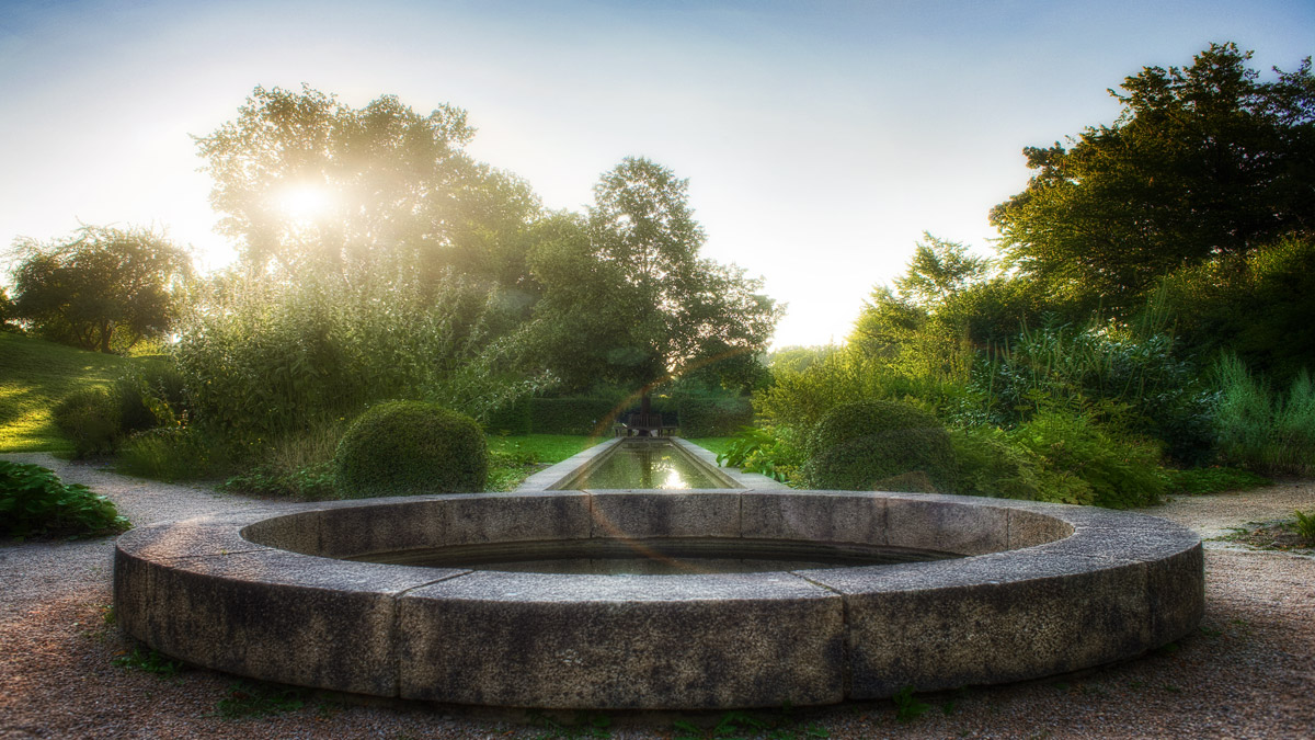 Sonnenaufgang im Heilpflanzengarten (Celle)