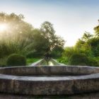 Sonnenaufgang im Heilpflanzengarten (Celle)