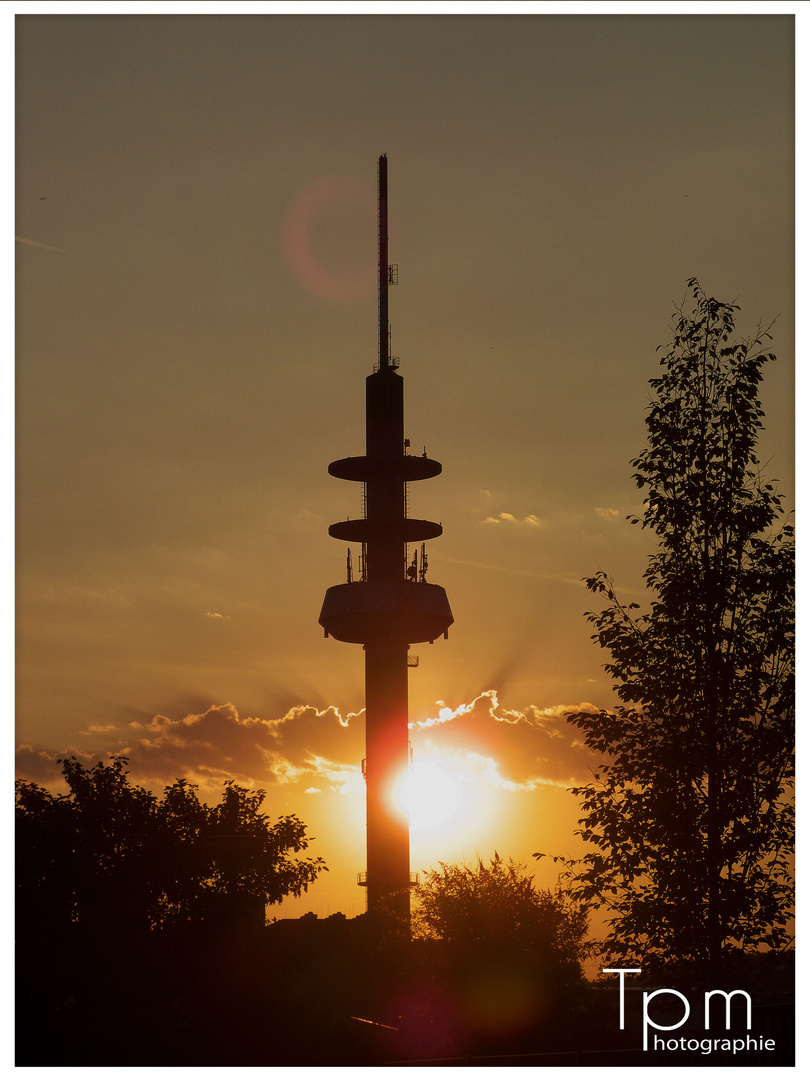 Sonnenaufgang im heißen Sommer