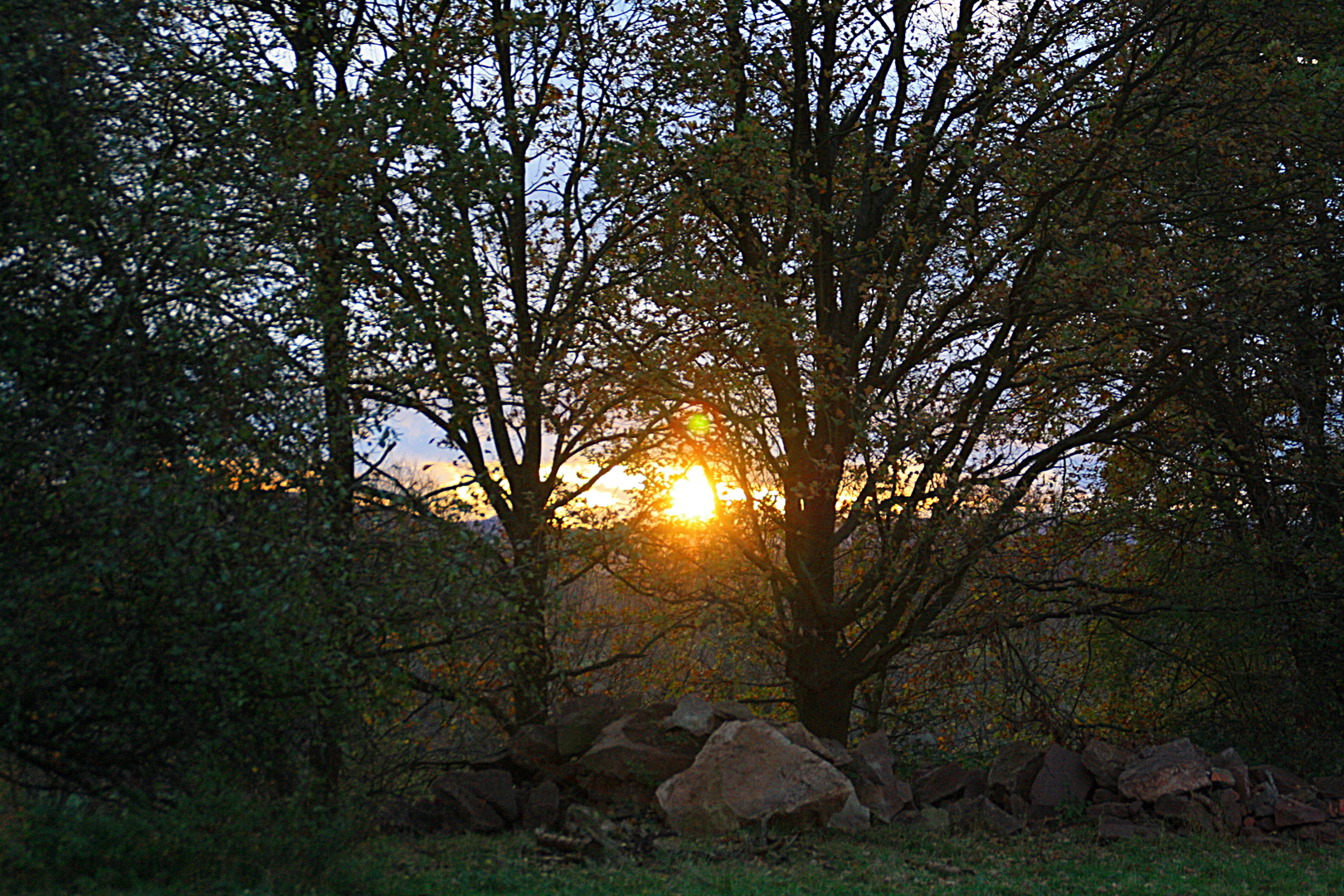 Sonnenaufgang im Herbst