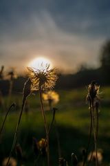 Sonnenaufgang im Herbst