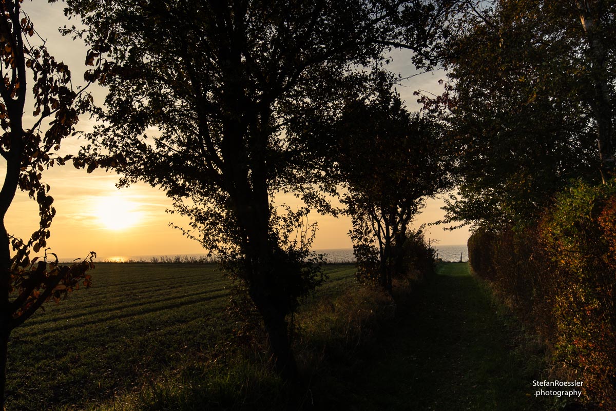 Sonnenaufgang im Herbst