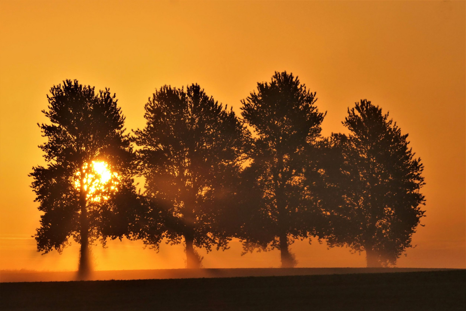 Sonnenaufgang im Herbst