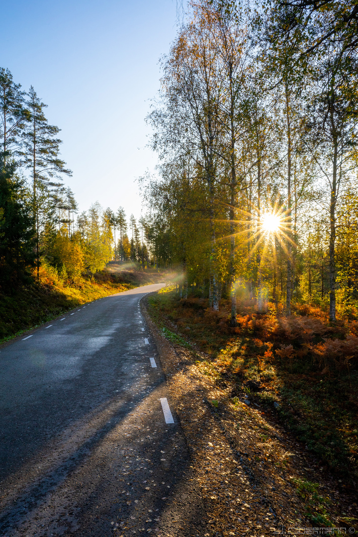 Sonnenaufgang im Herbst