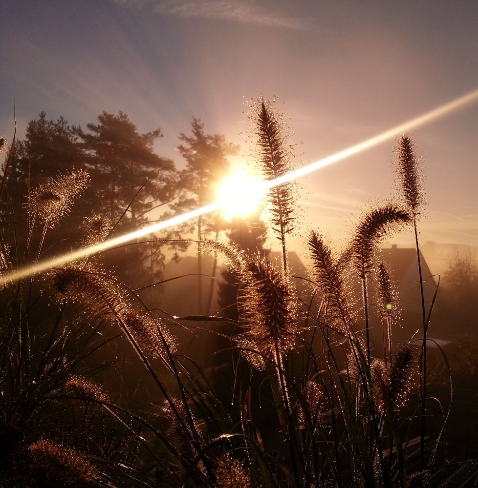 Sonnenaufgang im Herbst