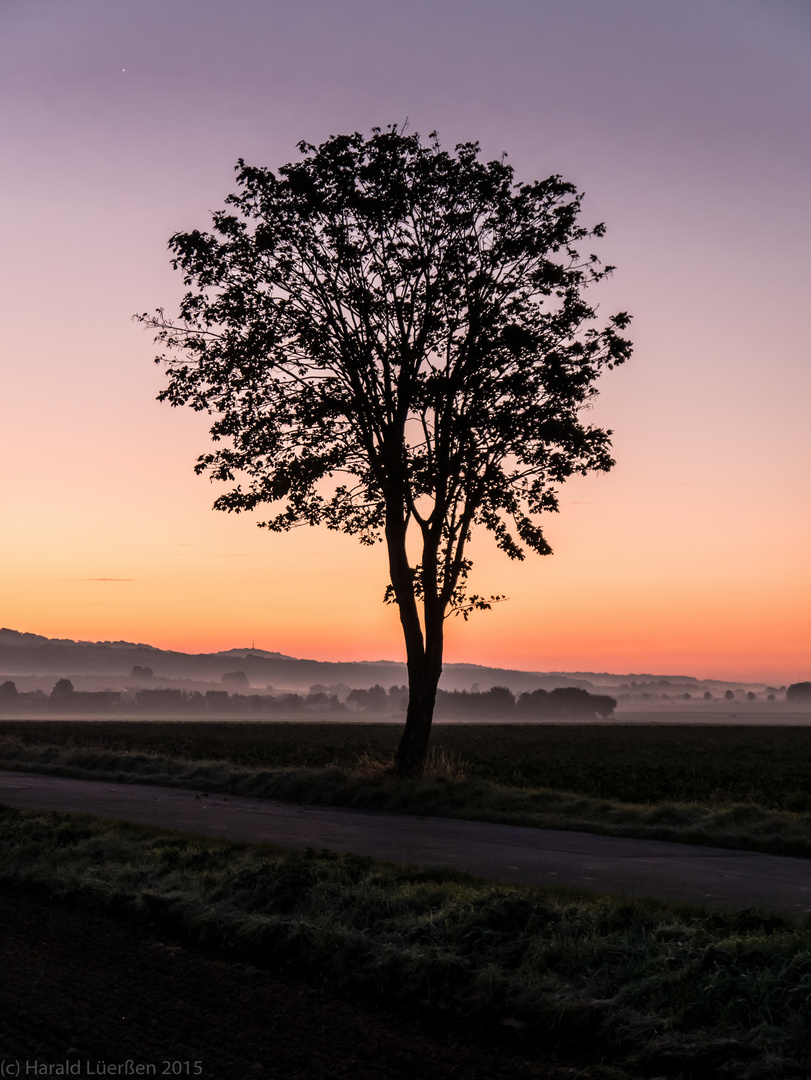 Sonnenaufgang im Herbst