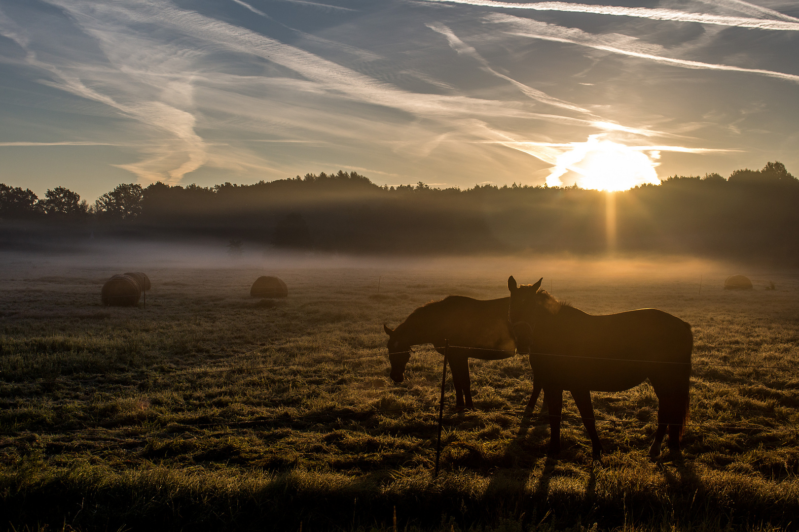 Sonnenaufgang im Herbst