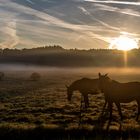 Sonnenaufgang im Herbst