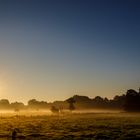 Sonnenaufgang im Herbst