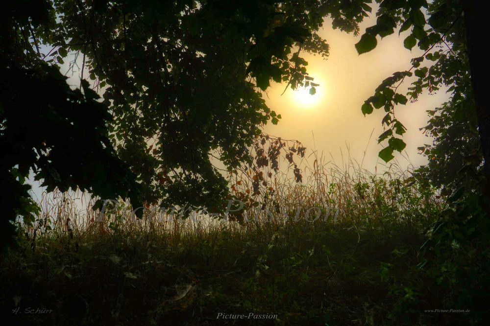 Sonnenaufgang im Herbst