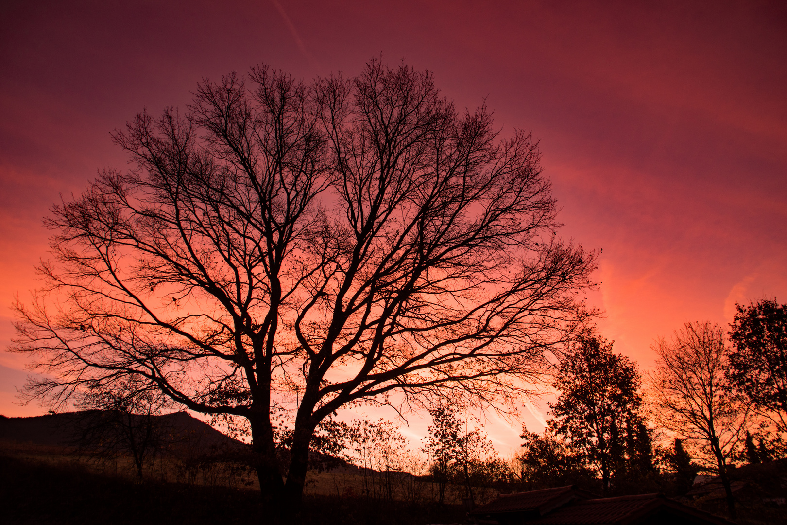 Sonnenaufgang im Herbst