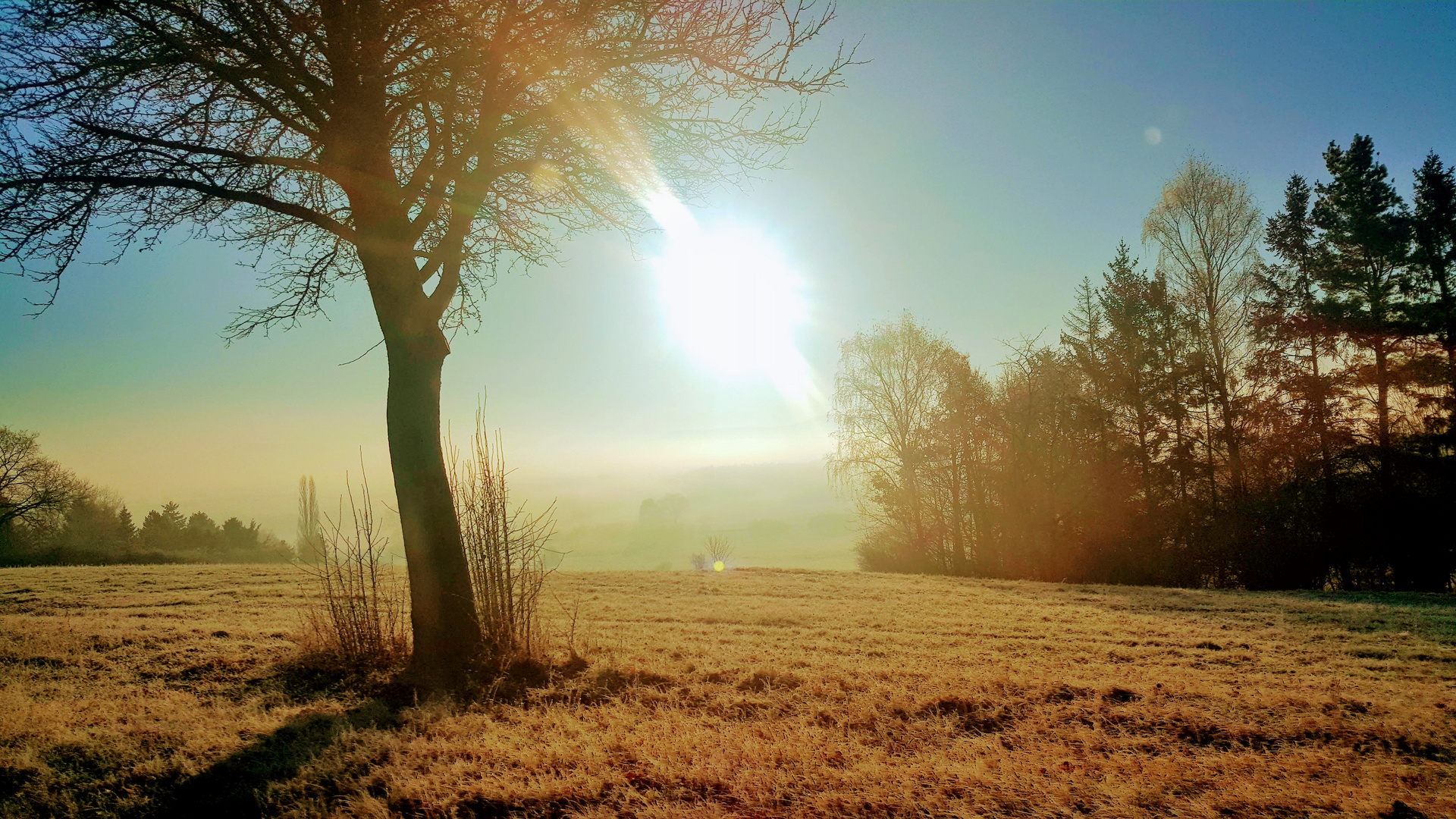 Sonnenaufgang im Herbst