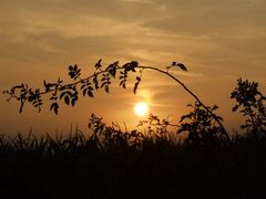 Sonnenaufgang im Herbst