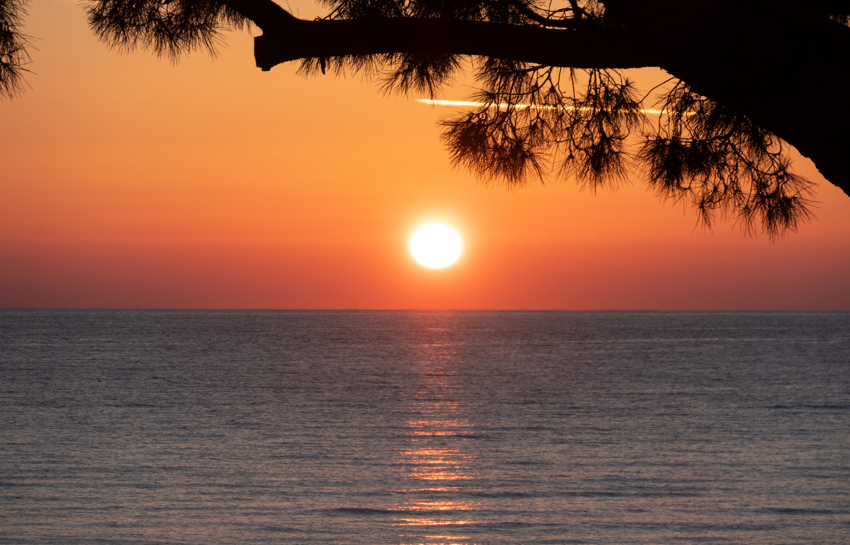 Sonnenaufgang im Herbst