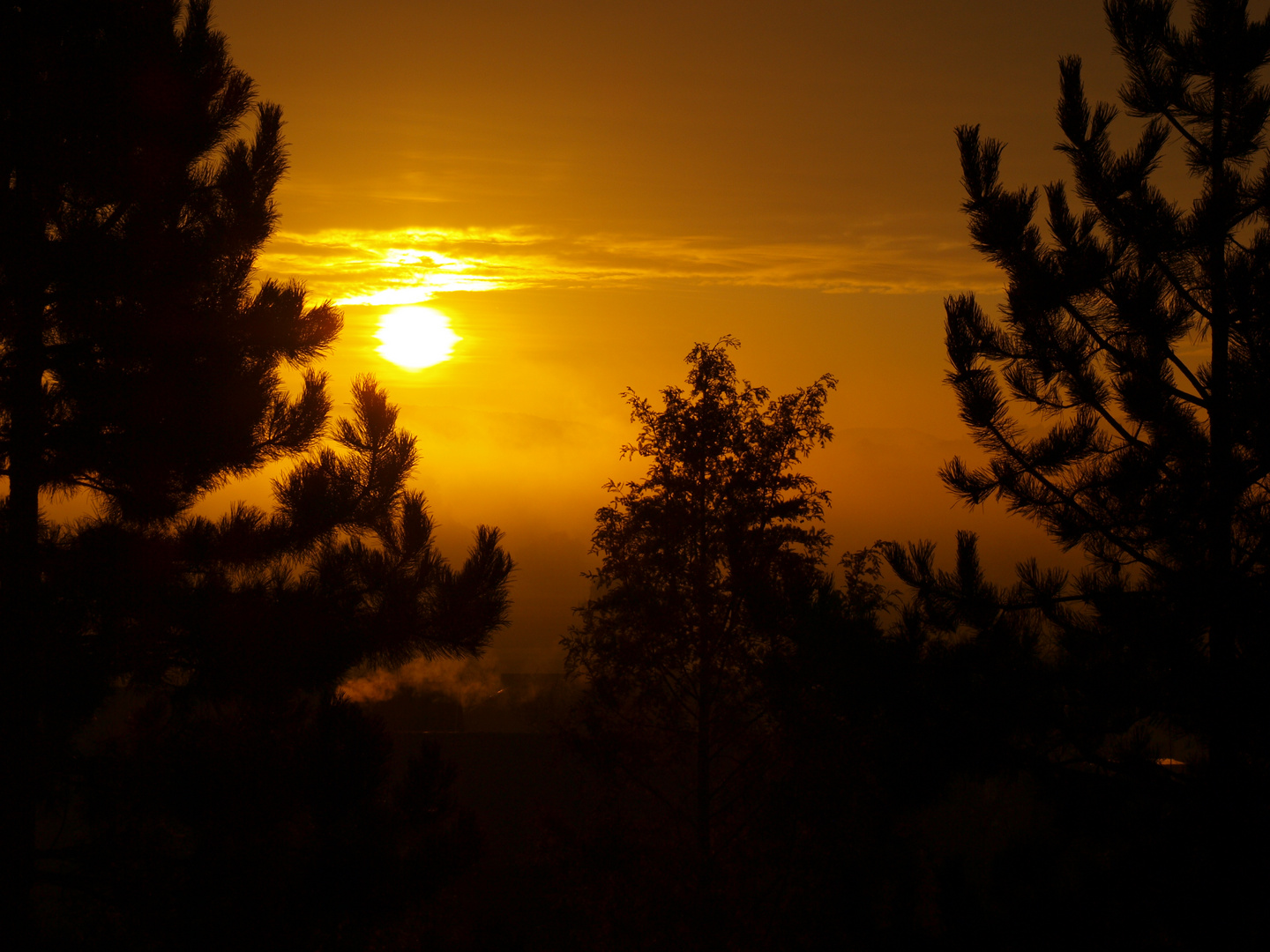 Sonnenaufgang im Herbst II