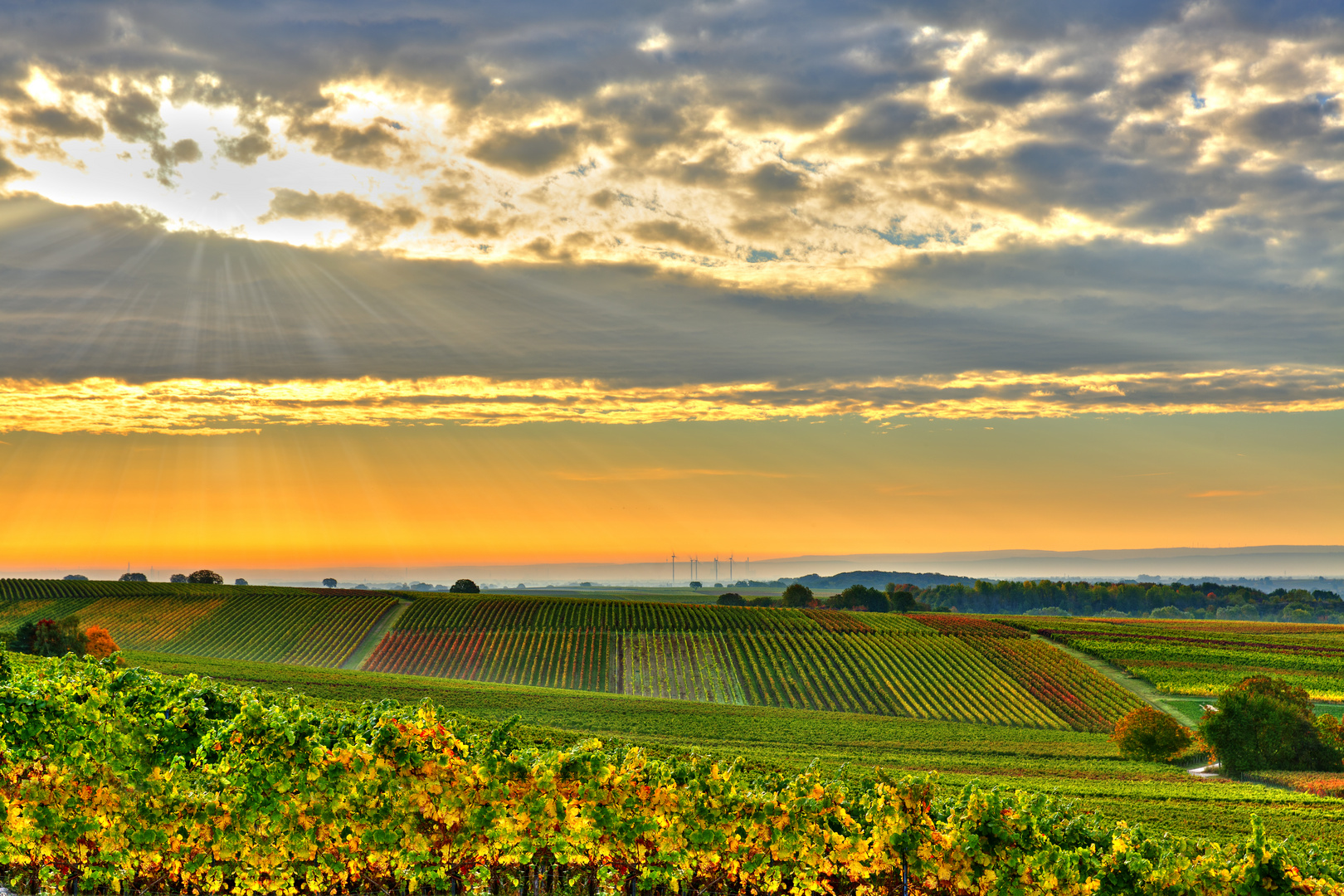 Sonnenaufgang im Herbst in der Südpfalz