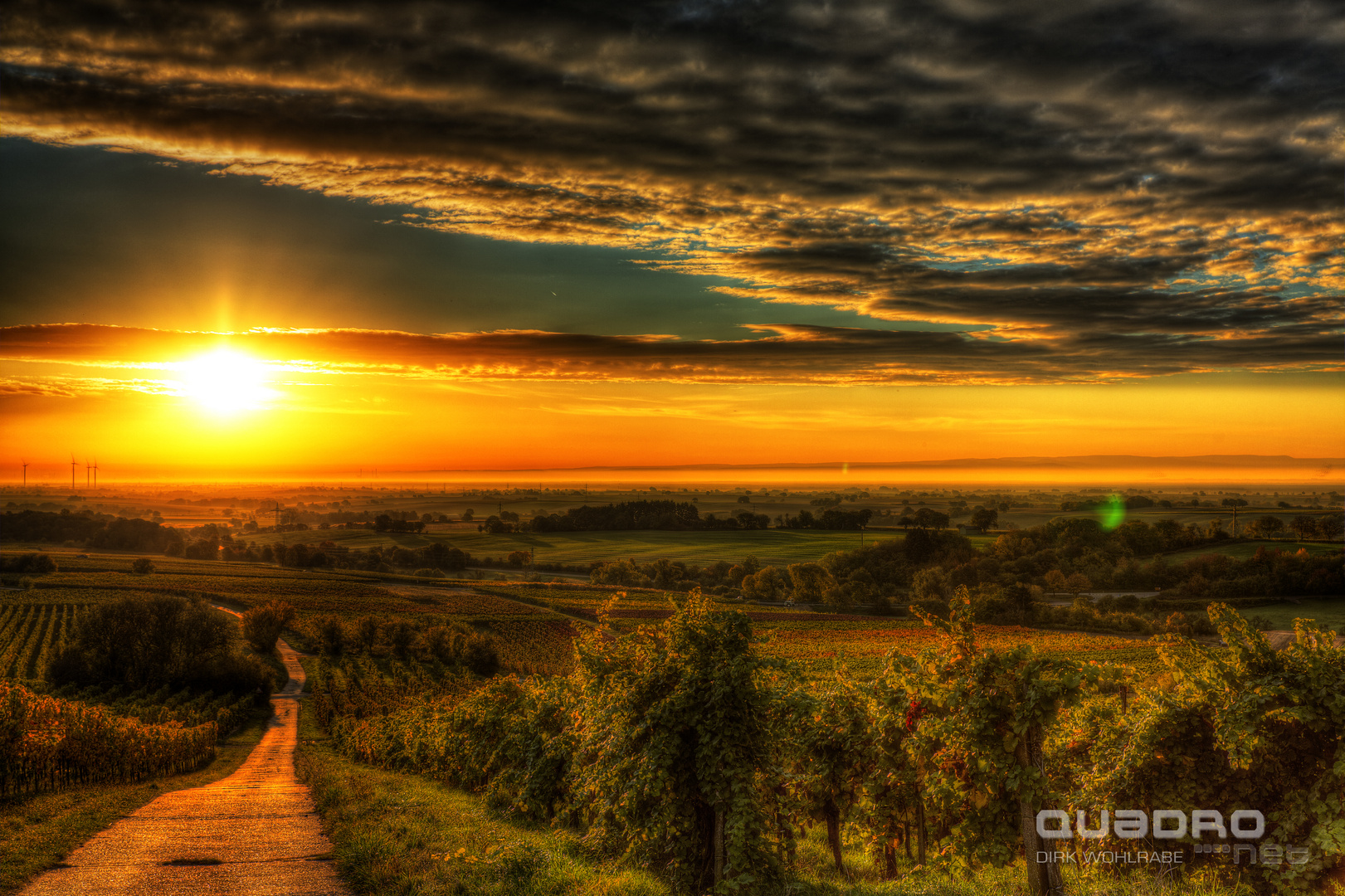 Sonnenaufgang im Herbst in der Südpfalz