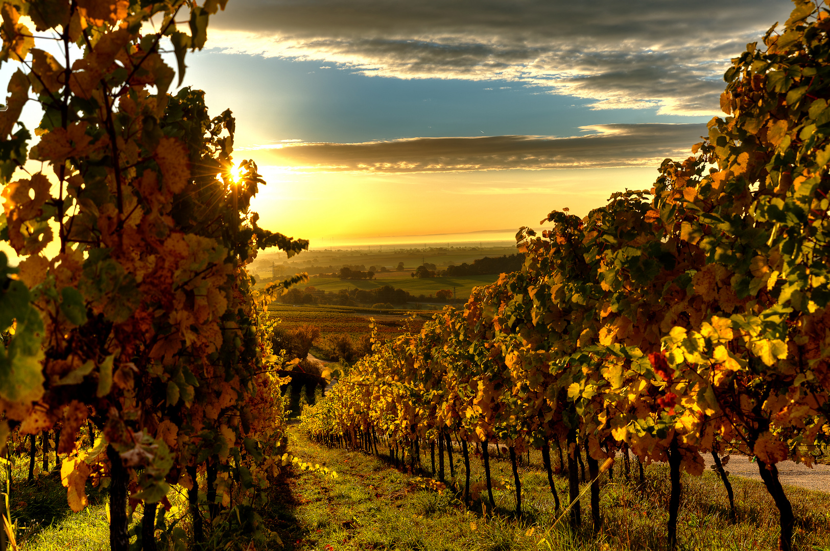 Sonnenaufgang im Herbst in der Südpfalz