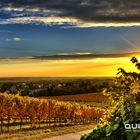 Sonnenaufgang im Herbst in der Südpfalz Bad Bergzabern