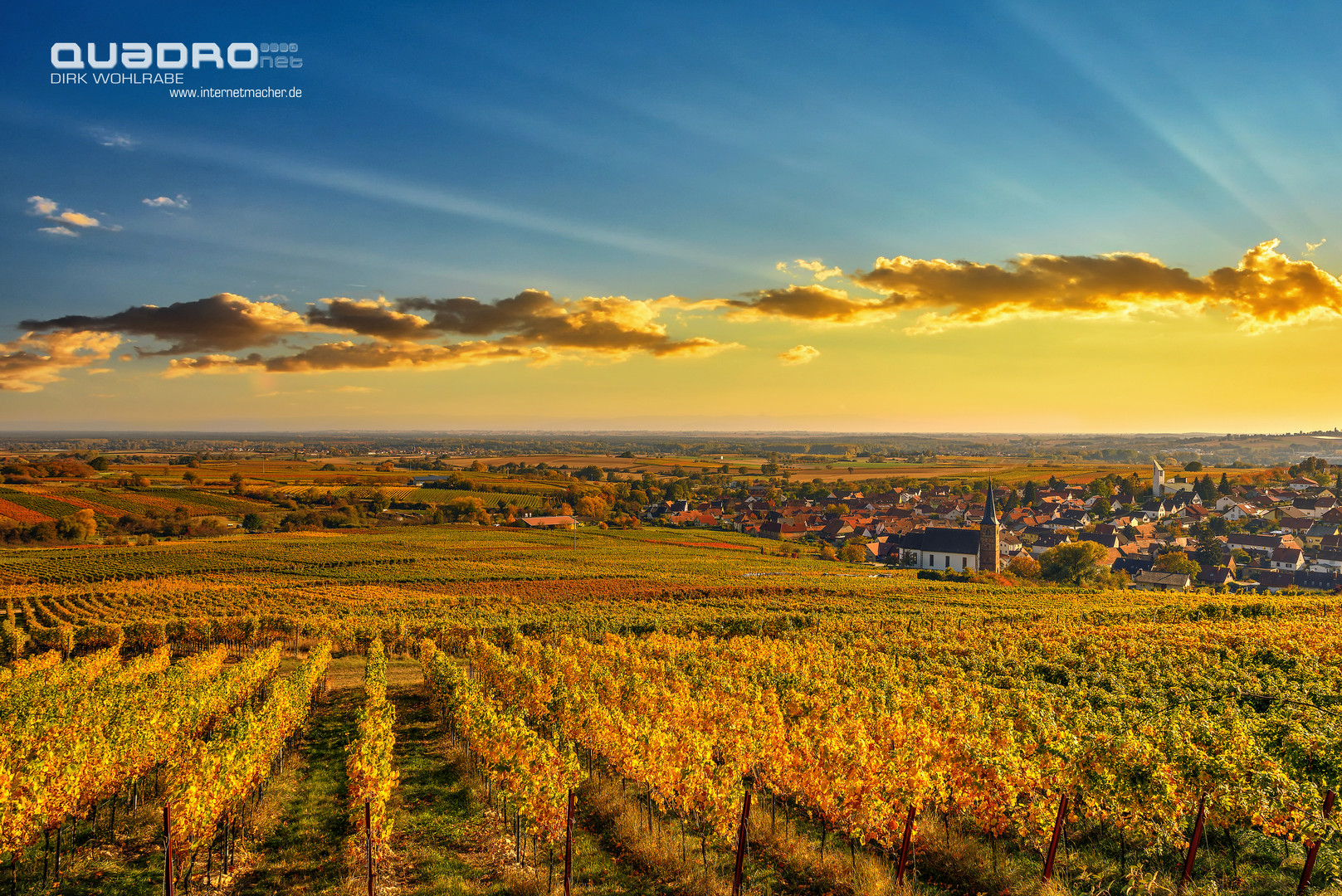 Sonnenaufgang im Herbst in der Südpfalz