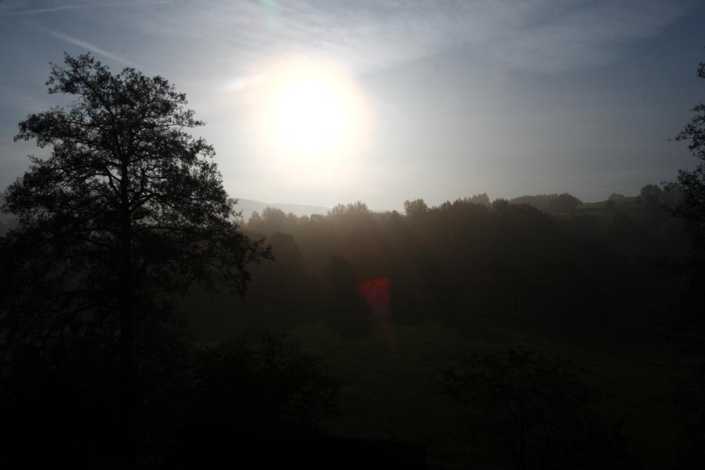 Sonnenaufgang im herbstlichen Frühnebel