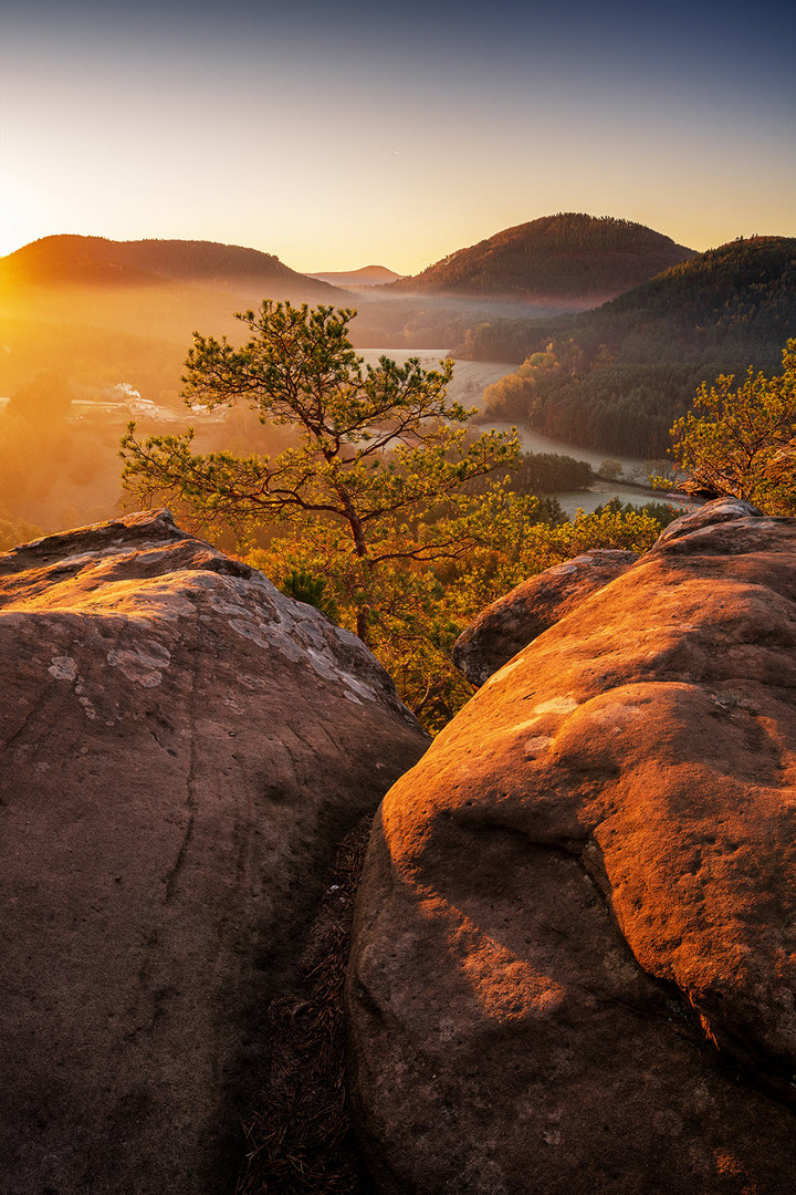 Sonnenaufgang im herbstlichen Pfälzerwald