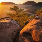 Sonnenaufgang im herbstlichen Pfälzerwald