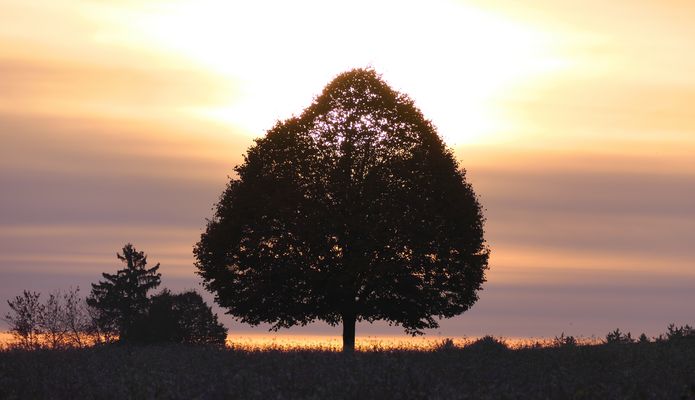 Sonnenaufgang im Herbstlicht