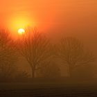 Sonnenaufgang im Herbstnebel