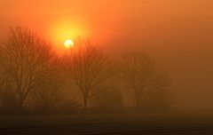 Sonnenaufgang im Herbstnebel