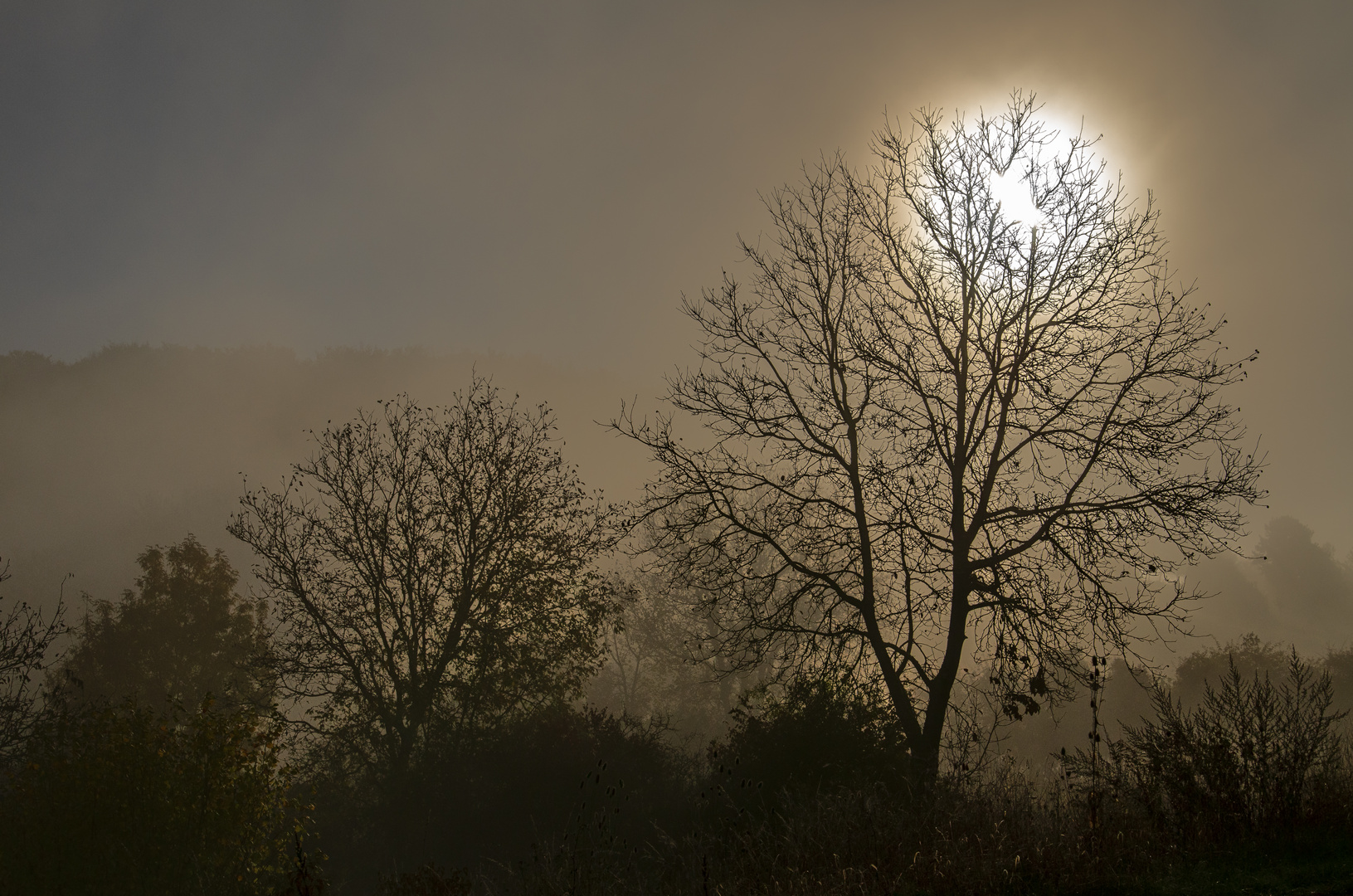 Sonnenaufgang im Herbstnebel