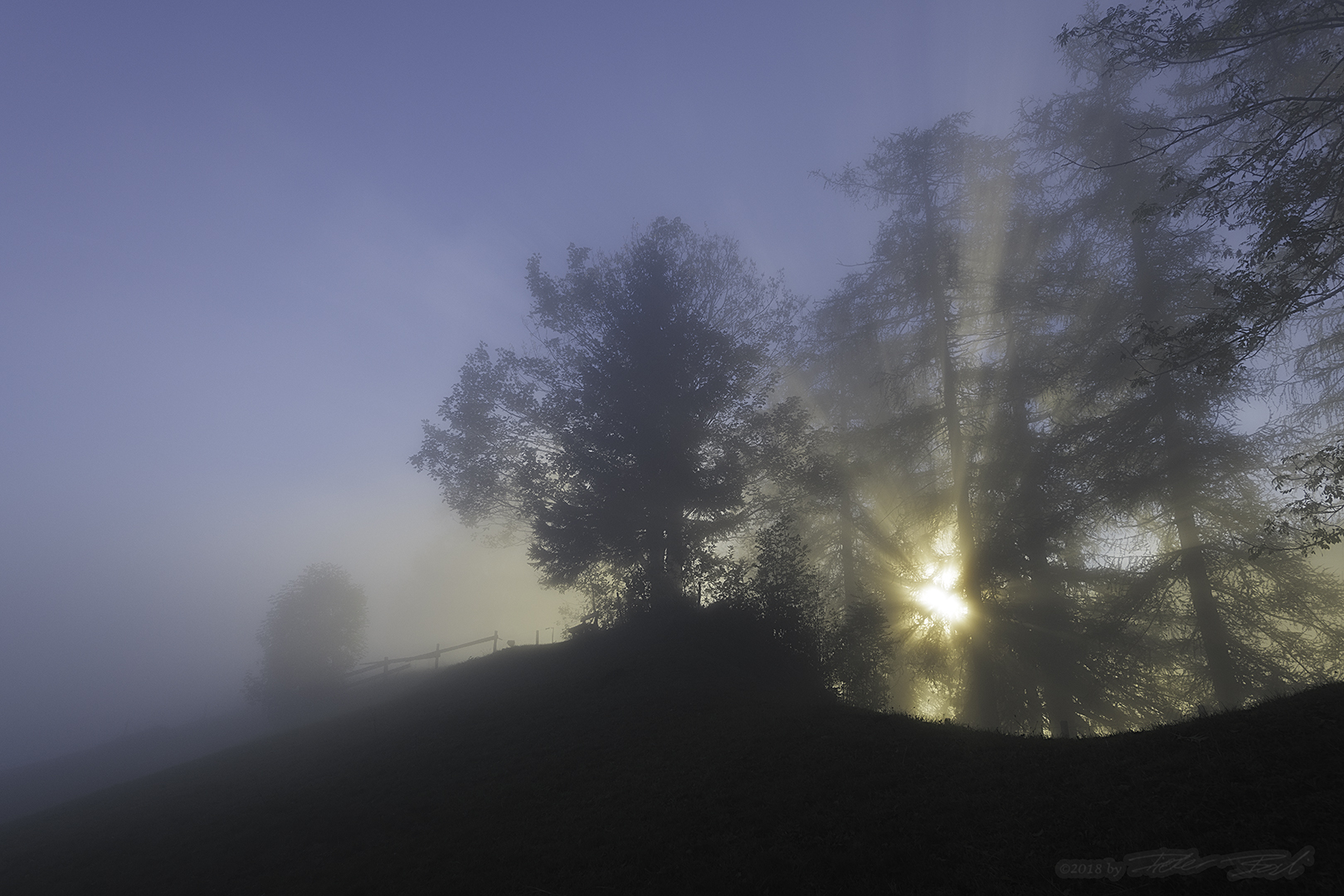 Sonnenaufgang im Herbstnebel