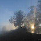 Sonnenaufgang im Herbstnebel