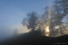 Sonnenaufgang im Herbstnebel