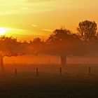 Sonnenaufgang im Herforder Füllenbruch