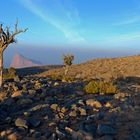 Sonnenaufgang im Hochgebirge des Omans