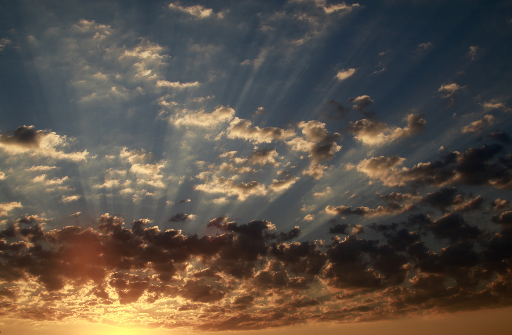 Sonnenaufgang im Hochsommer 2021