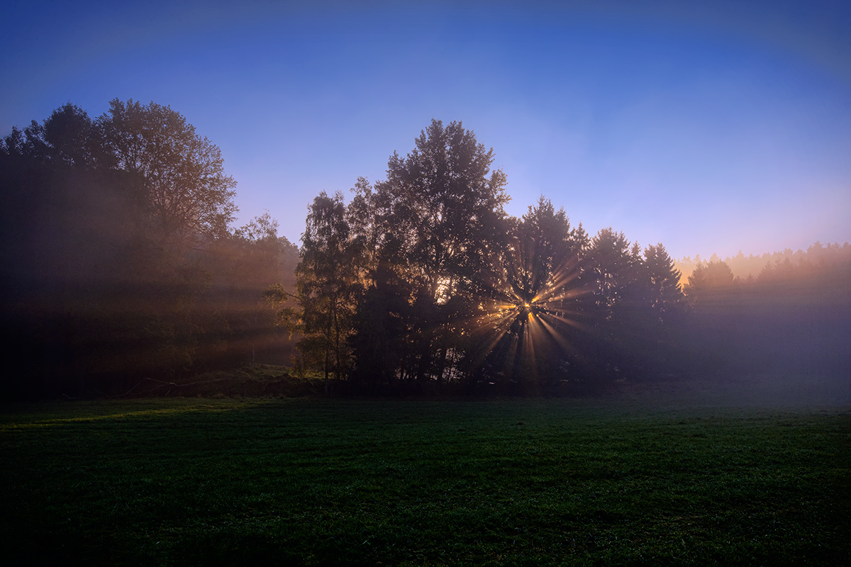 Sonnenaufgang im Hochwald