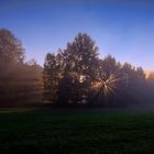 Sonnenaufgang im Hochwald