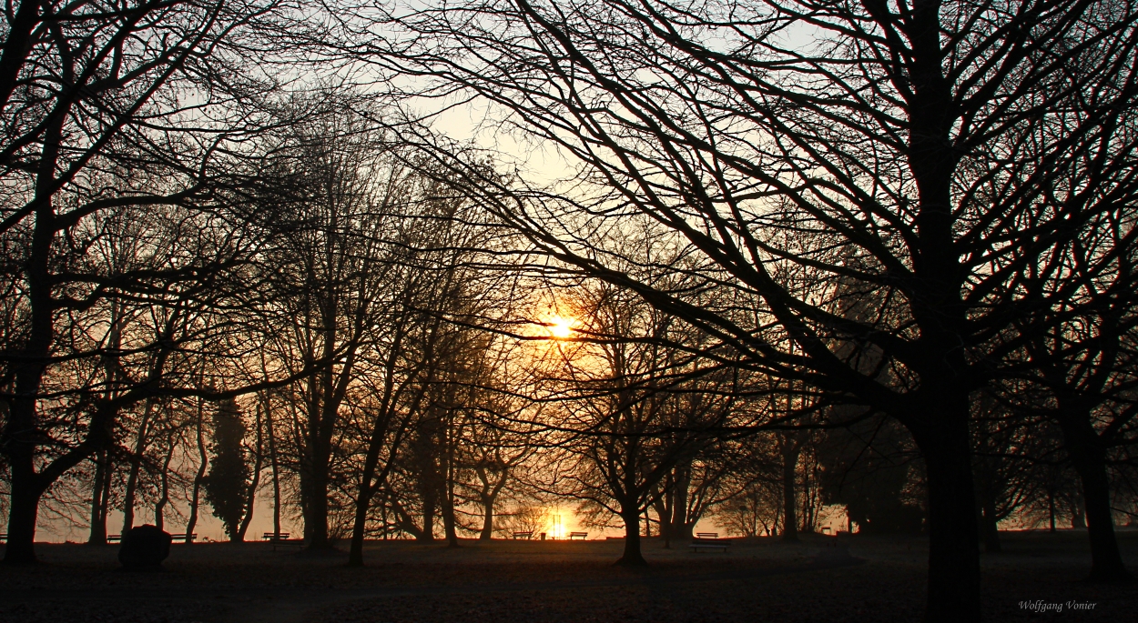 Sonnenaufgang im Hörle-Park in Konstanz