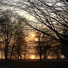 Sonnenaufgang im Hörle-Park in Konstanz