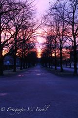 Sonnenaufgang im Hofgarten 1