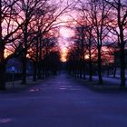 Sonnenaufgang im Hofgarten 1