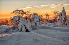 SONNENAUFGANG IM HOHEN SCHWARZWALD.