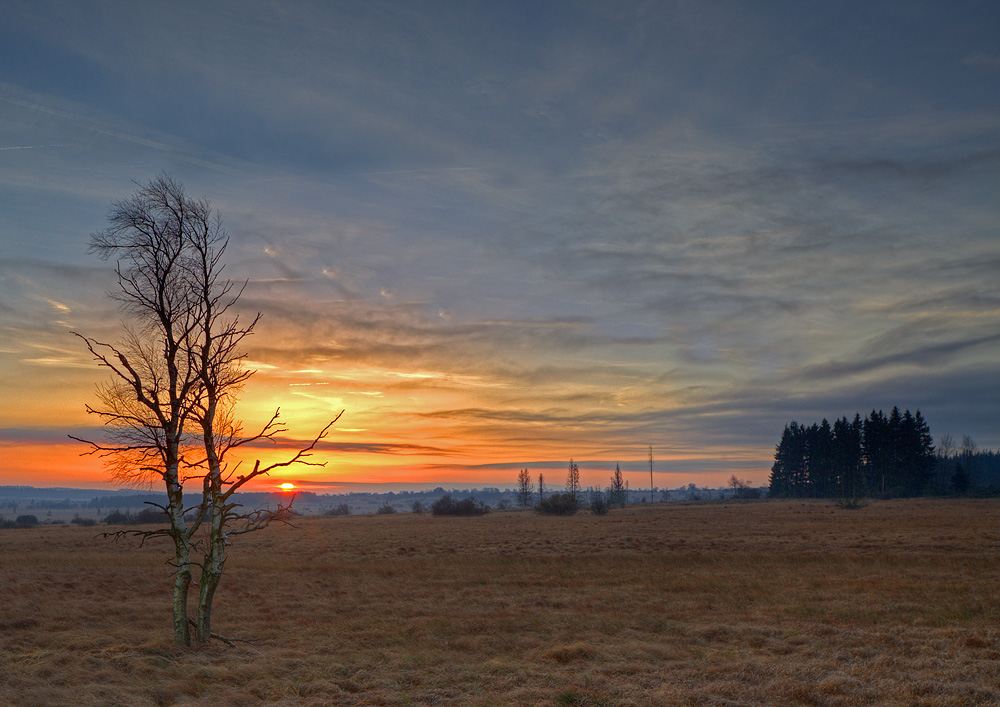 Sonnenaufgang im Hohen Venn