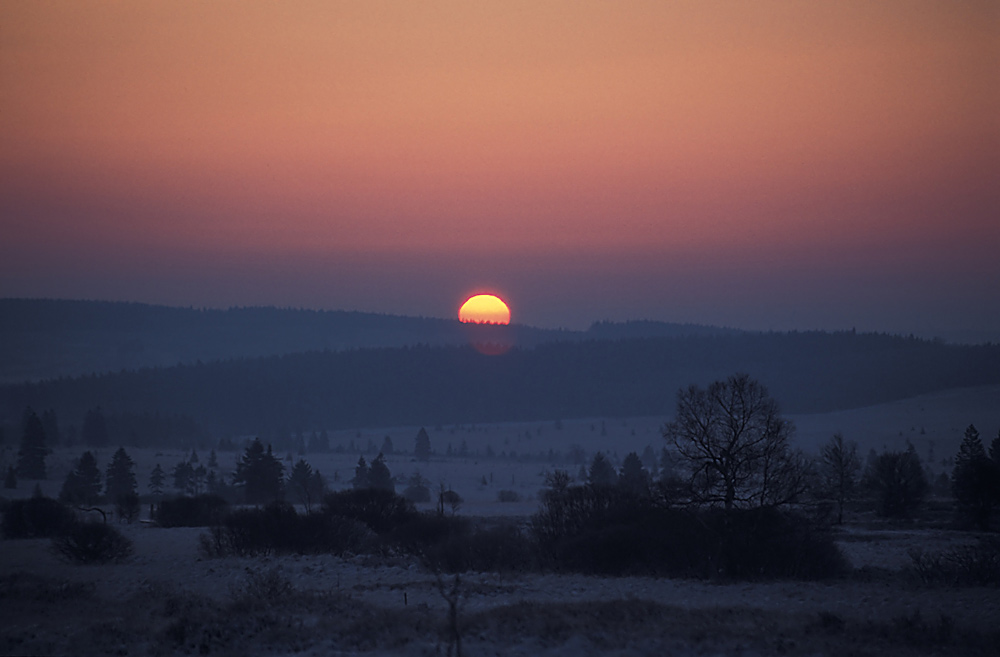 Sonnenaufgang im Hohen Venn