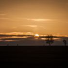 Sonnenaufgang im Hohen Venn