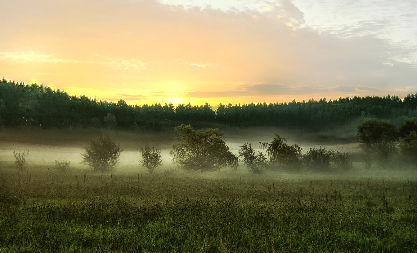 Sonnenaufgang im Holzland