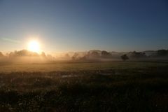 Sonnenaufgang im Hundsmoor