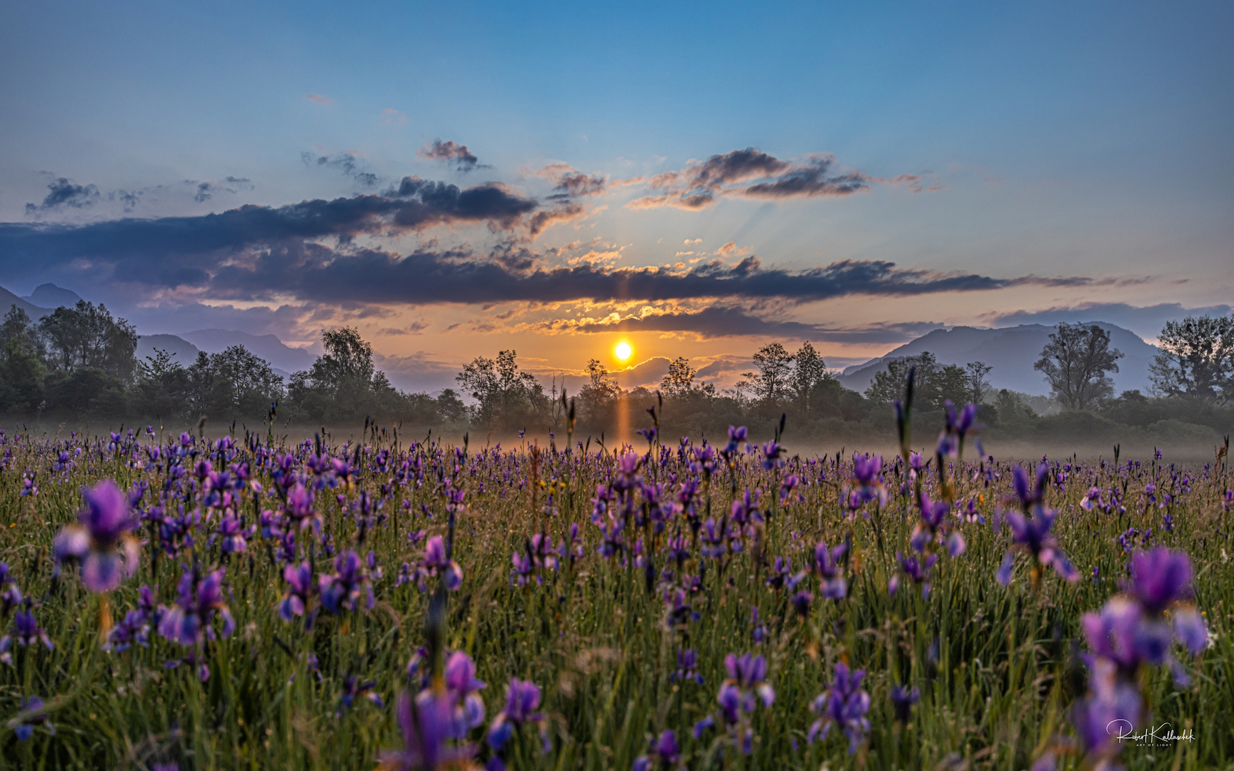 Sonnenaufgang im Irismeer